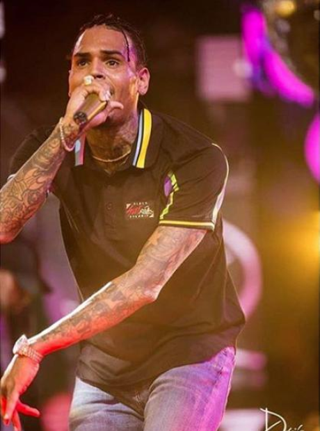 chris-brown-showed-off-his-latest-braided-hairstyle-32-pictures-you
